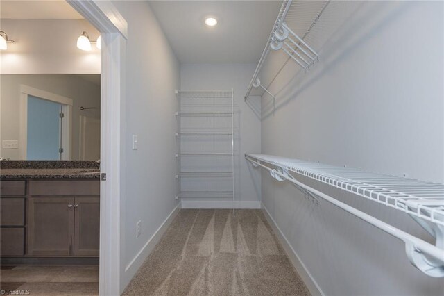 spacious closet featuring a sink and light carpet