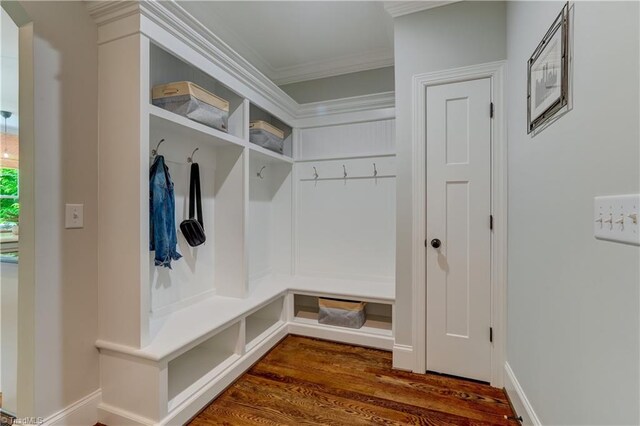 mudroom with crown molding and dark wood-style flooring