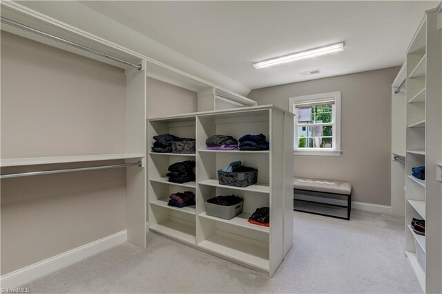 walk in closet with light colored carpet