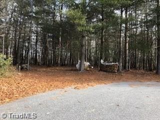 Listing photo 2 for TBD Saint Andrews Dr, North Wilkesboro NC 28659