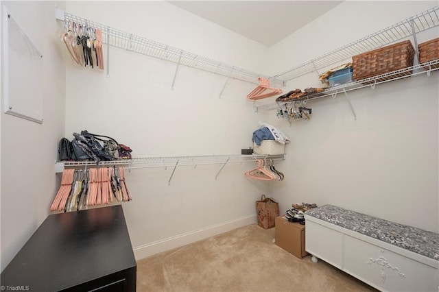 spacious closet with light carpet