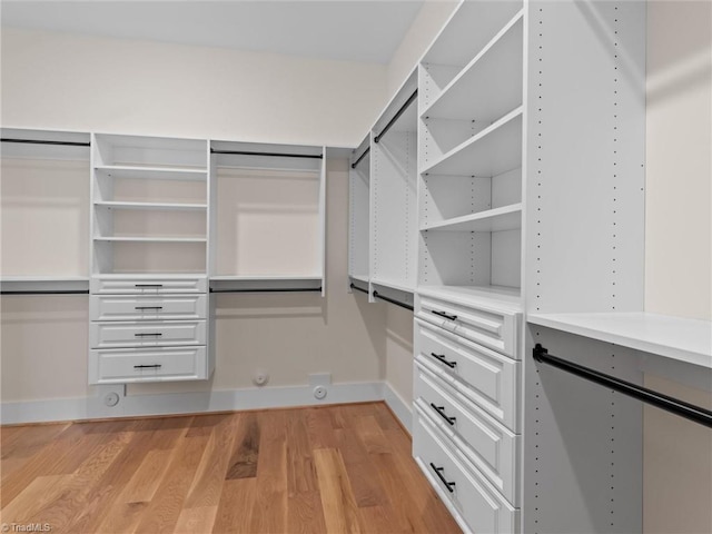 spacious closet featuring light wood finished floors