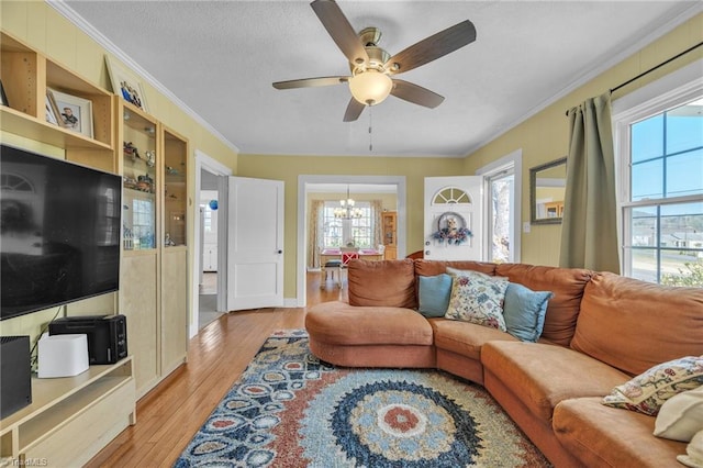1109 Wildwood Rd NE, Lenoir, NC 28645 - living room featuring ornamental molding, a chandelier, ceiling fan, and light wood-style floors
