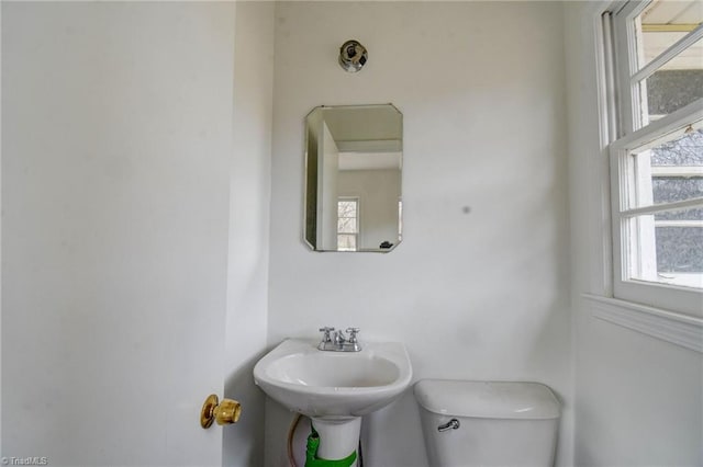 bathroom with toilet and a healthy amount of sunlight