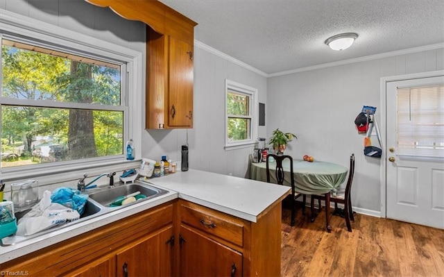 803 Buckner St, Graham, NC 27253 - kitchen with crown molding, light countertops, healthy amount of natural light, brown cabinets, and a textured ceiling