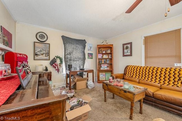 living room featuring carpet