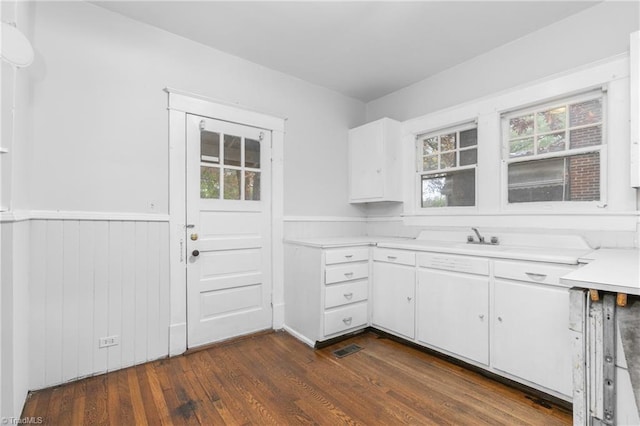 kitchen with dark hardwood / wood-style floors, white cabinetry, and a healthy amount of sunlight