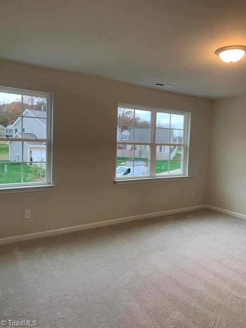 carpeted spare room with plenty of natural light