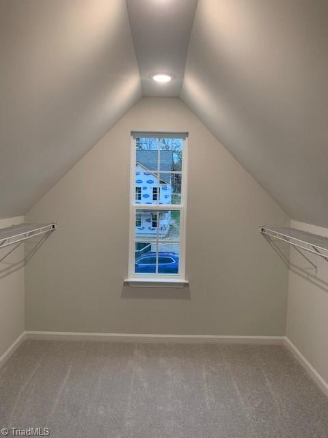 walk in closet with carpet flooring and vaulted ceiling