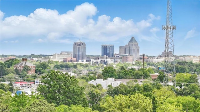 2322 Fernwood Dr, Greensboro, NC 27408 - city view