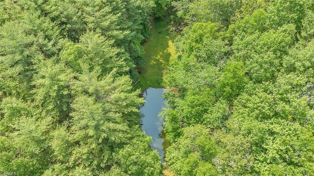 78 Arnies Ln, Sparta, NC 28675 - drone / aerial view of a nearby body of water