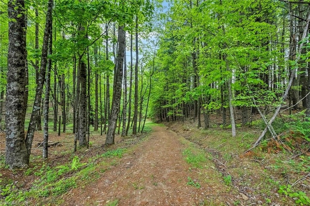 78 Arnies Ln, Sparta, NC 28675 - view of nature