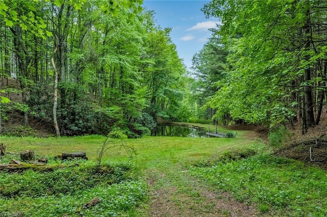 78 Arnies Ln, Sparta, NC 28675 - view of grassy yard featuring a wooded view and a water view
