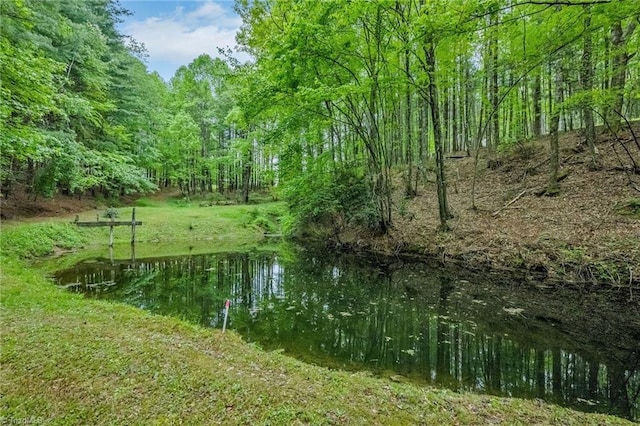 78 Arnies Ln, Sparta, NC 28675 - view of woods featuring a water view