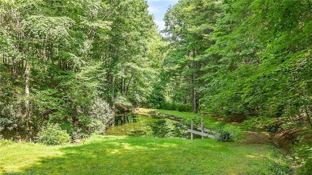 78 Arnies Ln, Sparta, NC 28675 - view of yard with a wooded view