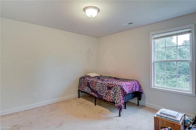 4116 Branch Point Ct, Pfafftown, NC 27040 - bedroom featuring multiple windows, baseboards, and carpet floors