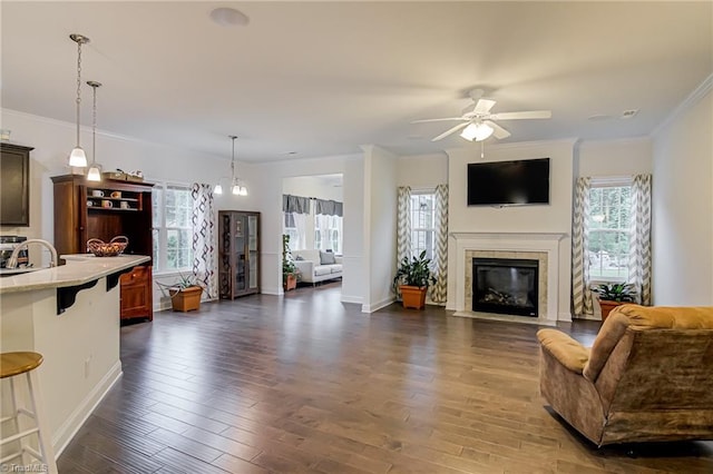4116 Branch Point Ct, Pfafftown, NC 27040 - living room featuring healthy amount of natural light, ceiling fan, dark wood-style flooring, crown molding, and a tile fireplace