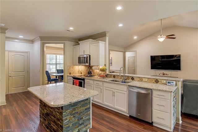 kitchen featuring appliances with stainless steel finishes, tasteful backsplash, a sink, and dark wood-type flooring