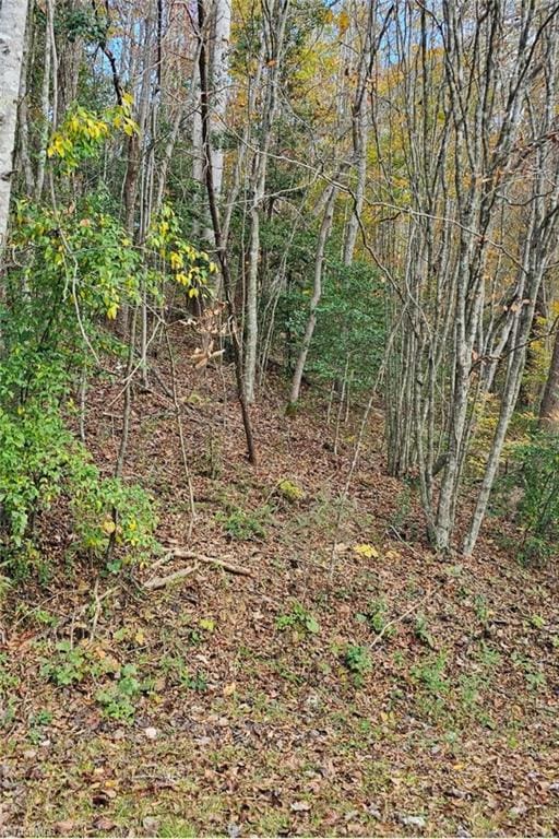 0 Moravian Creek Dr, Moravian Falls NC, 28645 land for sale