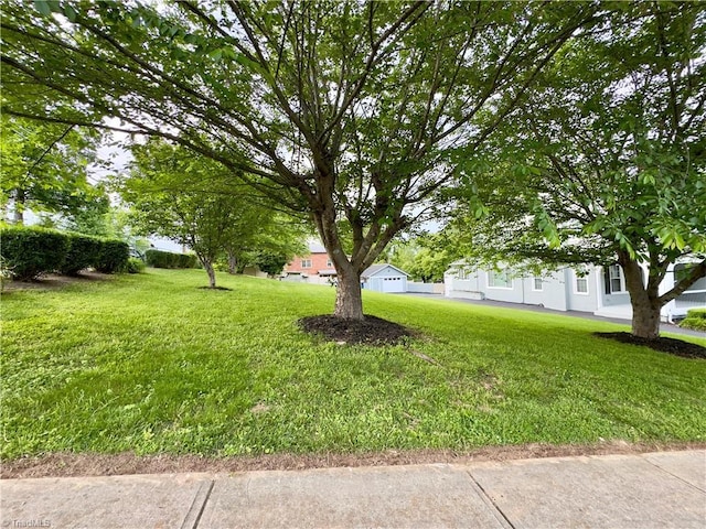 216 Rawley Ave, Mount Airy, NC 27030 - view of grassy yard