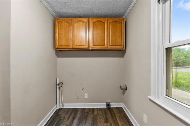 washroom with baseboards, a textured ceiling, cabinet space, and dark wood-style flooring