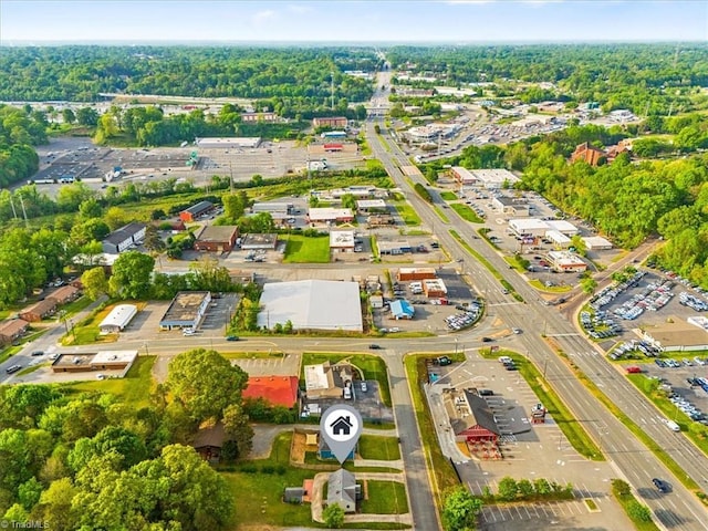 drone / aerial view