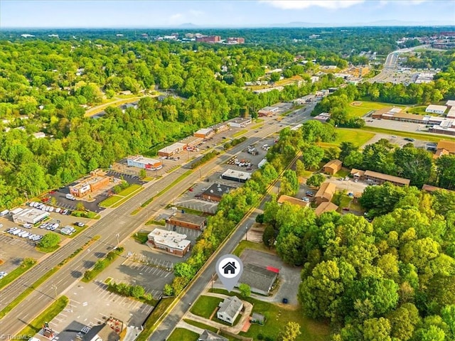 bird's eye view