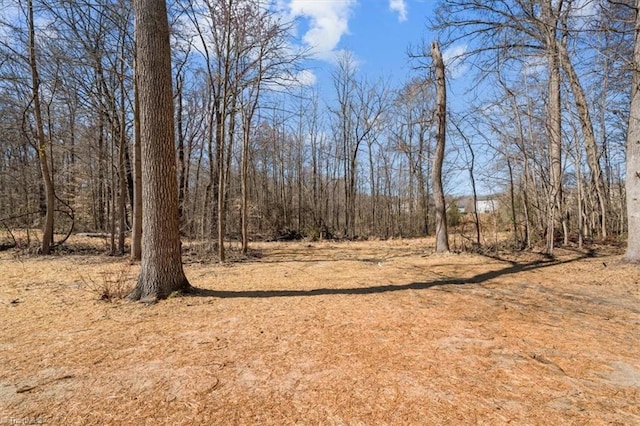 view of local wilderness