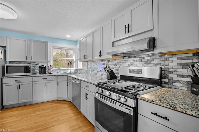 kitchen with sink, custom exhaust hood, tasteful backsplash, light hardwood / wood-style flooring, and appliances with stainless steel finishes