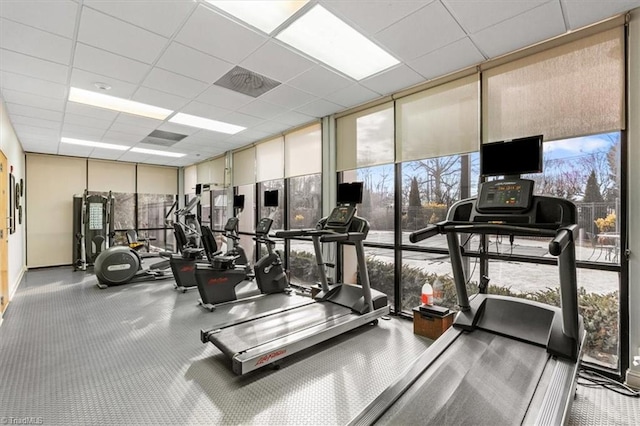 exercise room featuring floor to ceiling windows and a paneled ceiling