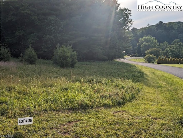 Listing photo 2 for LOT25 Dockery Ln, Sparta NC 28675