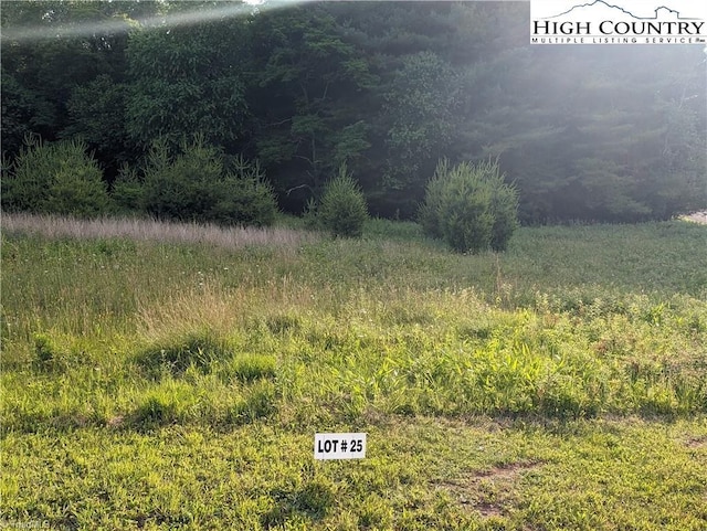 Listing photo 3 for LOT25 Dockery Ln, Sparta NC 28675