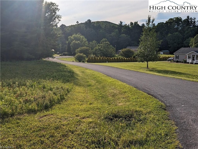 LOT25 Dockery Ln, Sparta, NC 28675