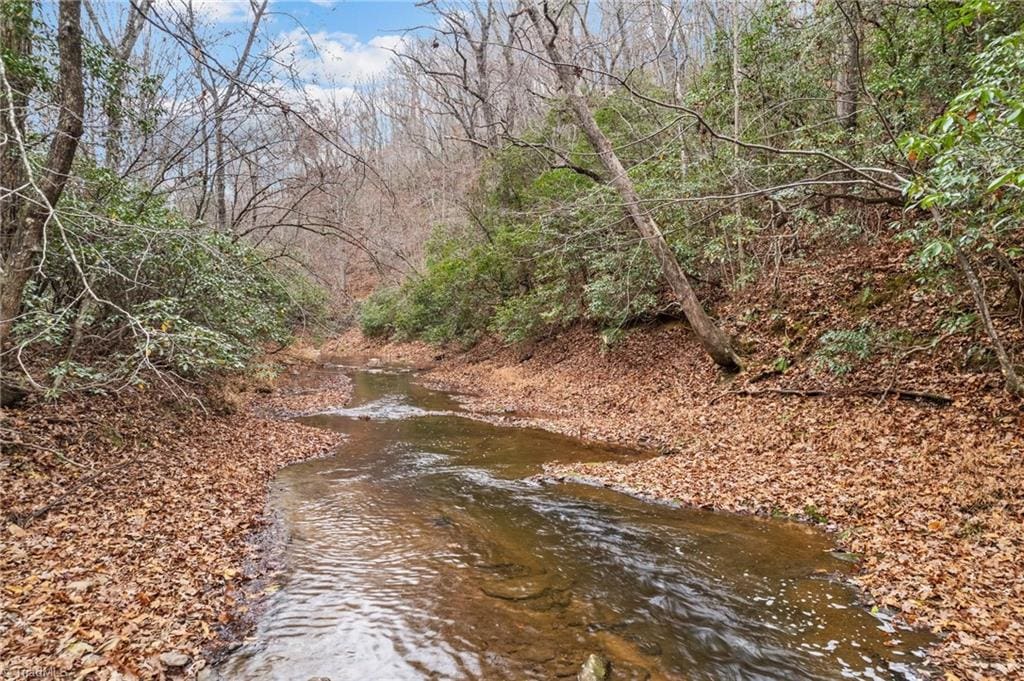 0 Simmons Rd, Westfield, NC 27053