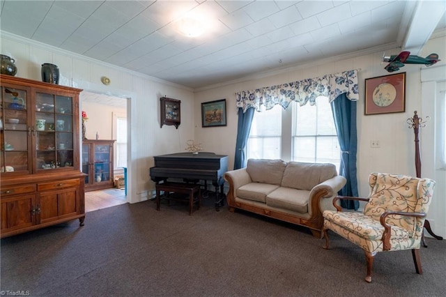 living room with crown molding and dark colored carpet