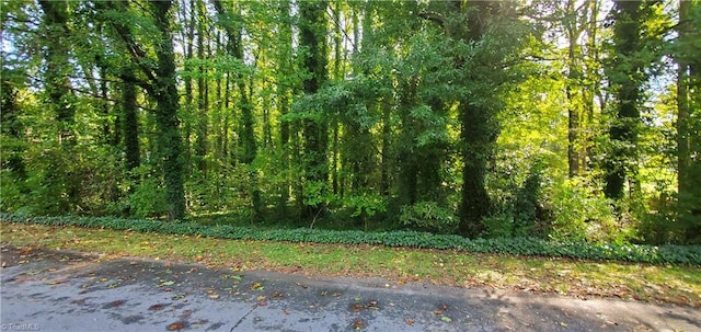 0 Troxaway Ct, Lewisville NC, 27023 land for sale