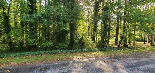 Listing photo 2 for 0 Troxaway Ct, Lewisville NC 27023