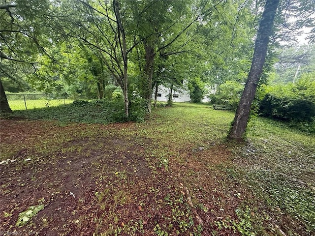 302 Louise Ave, High Point, NC 27262 - view of yard