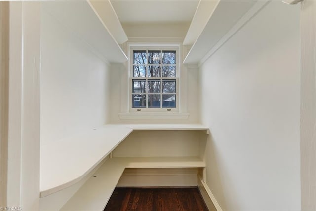 spacious closet with dark wood finished floors