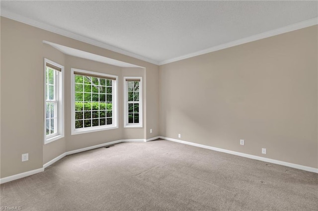 carpeted empty room with ornamental molding, plenty of natural light, baseboards, and a textured ceiling