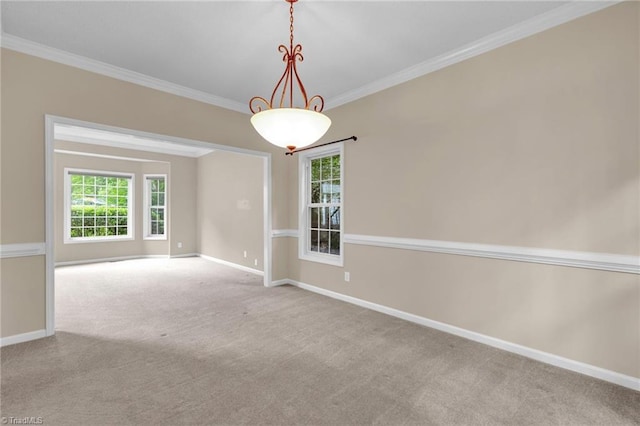 spare room featuring crown molding, carpet floors, healthy amount of natural light, and baseboards