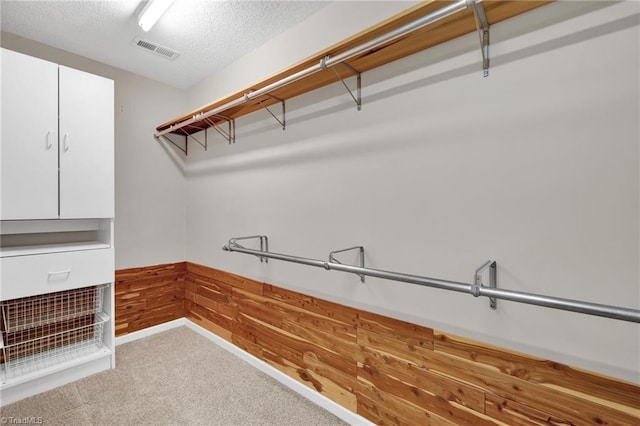 spacious closet with carpet
