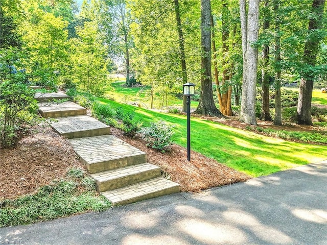 5017 Timbrook Ln, Winston-Salem, NC 27103 - surrounding community featuring a lawn