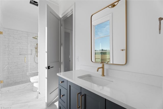 bathroom with vanity, toilet, and a shower with shower door