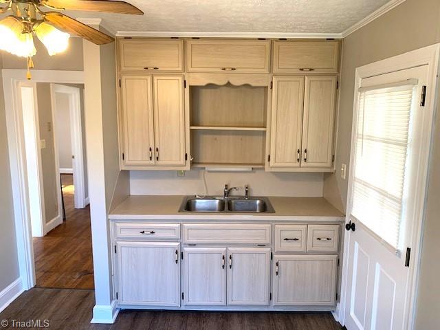 kitchen featuring ceiling fan, sink, dark hardwood / wood-style floors, crown molding, and a textured ceiling