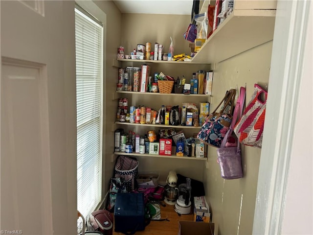 view of pantry