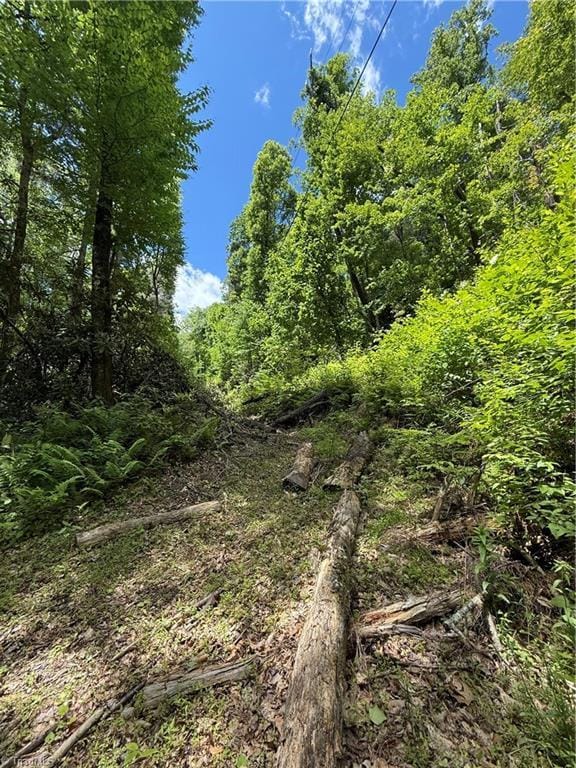 TBD Waterfall Rd, Millers Creek, NC 28651