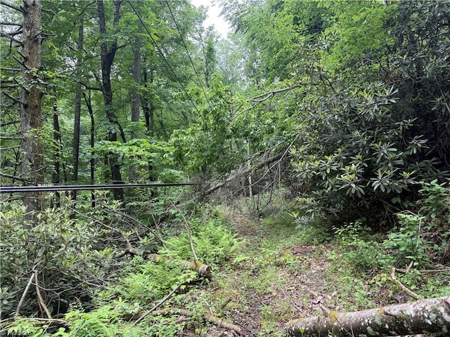 TBD Waterfall Rd, Millers Creek, NC 28651