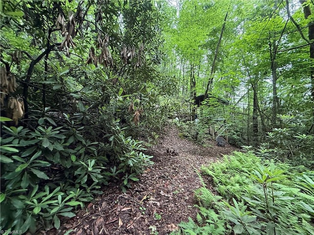 TBD Waterfall Rd, Millers Creek, NC 28651
