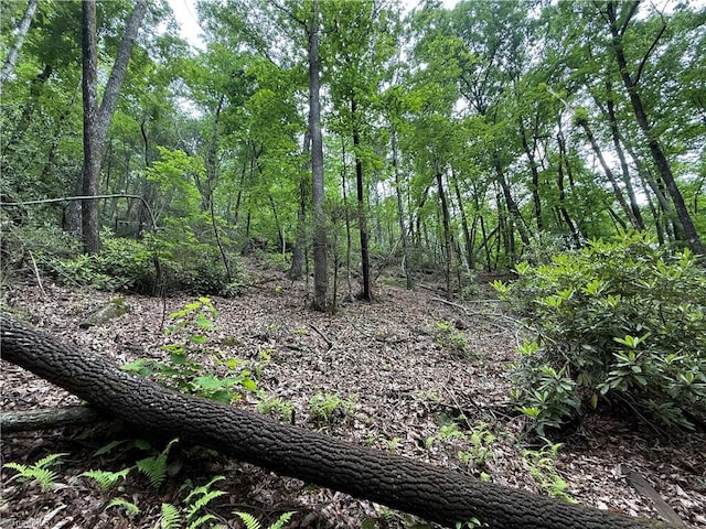 TBD Waterfall Rd, Millers Creek, NC 28651